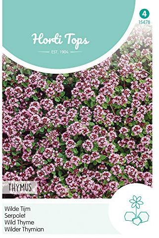 Hortitops 15478 Timo selvatico (semi di timo)
