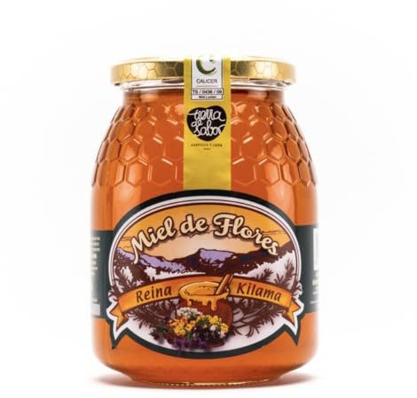 Miel d'abeille pur. Miel de fleurs. Miel 100% d'origine Espagnole en pot de 500g. Miel Multifloral extrait dans toute la zone nord-ouest de la péninsule. Ce Miel est un excellent substitut au sucre.