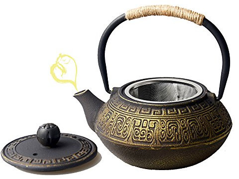 HwaGui-Teiere in ghisa con Filtro Teiere Dorate con Filtro in Acciaio Inox Fornello Bollitore 0,6l / 600 ml