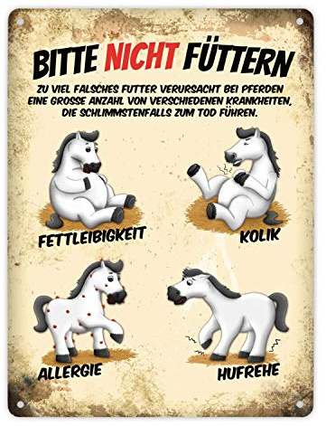Metallschild XL mit weiße Pferde Motiv und Spruch: Bitte nicht füttern