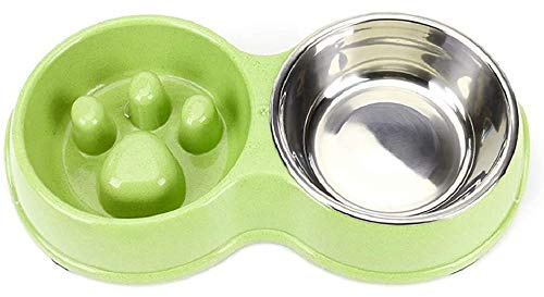 DS.PETTING Slow Feeder Dog cat Double Bowl Stainless Steel and Anti-Choking Green