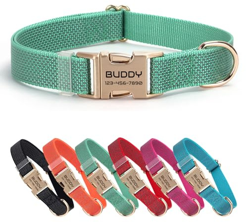 Nylon personalisiertes Haustierhalsband mit Namen, anpassbar lasergraviert, Ultra-reflektierendes Punktdesign, langlebige Metallschnalle für Hunde und Katzen - Passende Leine erhältlich (Grün)