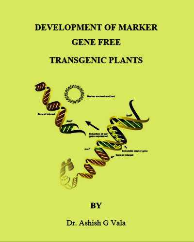 Marker Free Plants