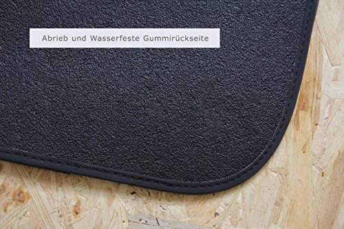 teileplus24 Fußmatten passend für Mini 1 R50 R53 2001-2006