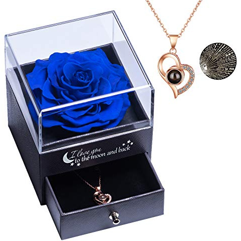 Yamonic Rosa Eterna Regalo Donna,Rosa Stabilizzata con Collana Donna,Regali San Valentino per lei,Idea Regalo per Lei,Confezione Regali Compleanno Anniversario Festa della Mamma Natale