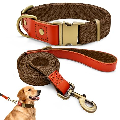 Hundehalsband und 150cm Leine Set XL, Nylon Leder (Braun) | Extra Breites Set 2,5cm Für Sehr Große Hunde, Extrem Belastbar, Messing-Optik Schnalle, Langlebig Spaziergang & Training