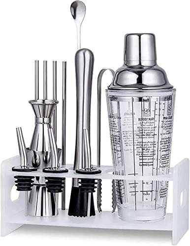 QTANZIQI Kit de coctelera con Soporte, coctelera Boston, Cuchara mezcladora, mortero, medidor, Pinzas, sacacorchos, Herramientas de Barra Profesionales (Plata)