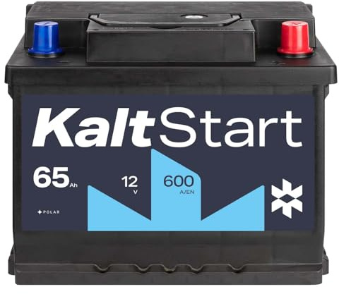 KaltStart Autobatterie 12V 65Ah 600A/EN