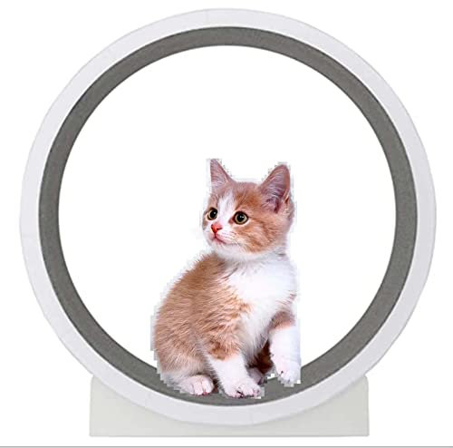 SSQUZA Laufrad für Katzen, Indoor-Katzenspielzeug, Katzenlaufrad, leises Laufband aus Massivholz, für Katzen, Workout-Spiel, Trainer für Katzen, um gesund zu bleiben