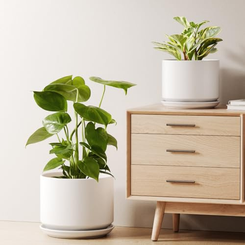 LE TAUCI Ceramic Plant Pots, 20 + 25 cm Pots for Plants, Indoor Plant Pots for Home and Office, Modern Flower Pots Fit Mid Century Plant Stand, Planters with Drainage Holes and Saucers, White