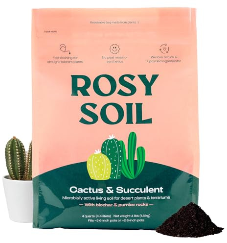 Kaktus- und Sukkulenten-Blumenerde für Zimmerpflanzen – schnell entwässernde Erde für Sukkulenten, Aloe Vera, Zimmerpflanze – Wurzelfördernde Biokohle für trockenheitstolerantes Wachstum – torffrei (1