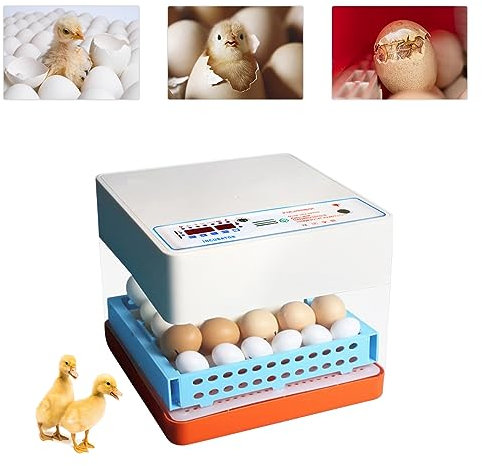 CLEADONG Brutmaschine Vollautomatisch, Automatisches Wenden 24 Eier, Brutmaschine Temperaturregelung, Feuchtigkeitsanzeige für Hühner, Enten, Gänse und Tauben