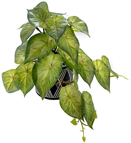 AlphaAcc Decoración de Plantas Artificiales en Maceta, pequeñas Hojas de Hiedra, Plantas con Patrones geométricos en Blanco y Negro, Maceta de Cemento para Oficina, Escritorio, hogar, Cocina