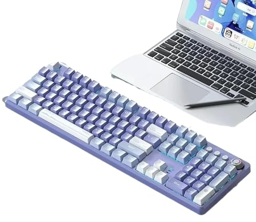 XXINGYULI Tastiera meccanica retroilluminata RGB con manopola multifunzione per giochi e uso in ufficio Cablata compatibile con PC Laptop Gamer F2088 Design(Pro-purple cloud)