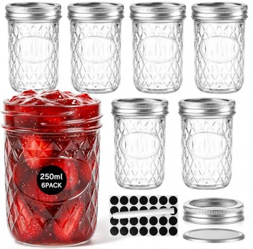 OAMCEG 6 Pack 250ml Jam Jars with Lids - Small Mason Jars for Pickling | Mason Jars with Silver Metal Airtight Lids Includes Round Sticker Labels and Marker Pen for Jam, Honey, Food Storage