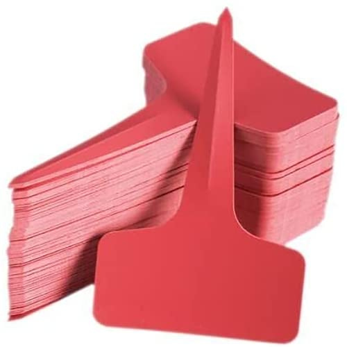 Växtskylt 100 stycken trädgårdsskyltar PVC-plastskylt växtskylt (röd)