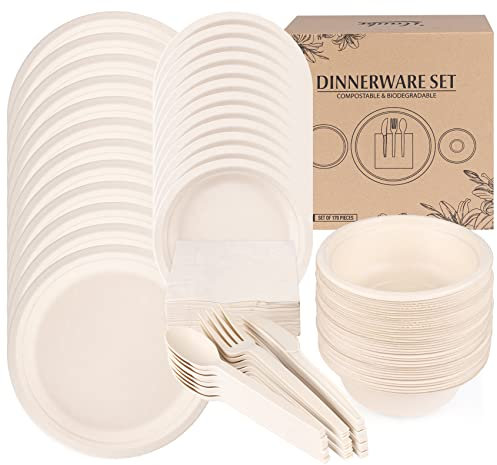ilauke Set di 170 piatti di carta usa e getta, compostabili e biodegradabili, con 40 piatti, 20 forchette, 20 coltelli, 20 cucchiai, 50 tovaglioli e 20 ciotole per barbecue, campeggio, feste