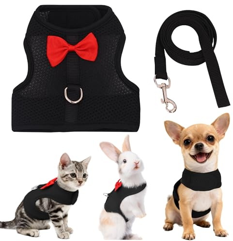 AIITLE Ensemble harnais et laisse pour lapin avec joli nœud papillon, gilet en maille douce et respirante pour lapins, chatons, furets, chiots, petits animaux, fournitures de promenade Noir L
