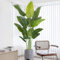 Keeplush Planta Artificial Ave del Paraíso 200 cm Planta Artificial Interior Alta con 15 Hojas, arbol Artificial Exterior Grande para Interior Casa salón Oficina dormitorios Jardín verandas (1Pack)