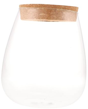 TOYANDONA Terrario Di Vetro Per Piante Idroponiche, Bottiglia Sostenibile Micro Paesaggi, Decorazione Multifunzionale Per Soggiorno e Ufficio, Contenitore Creativo Per Piante e Cuscinetto Verde
