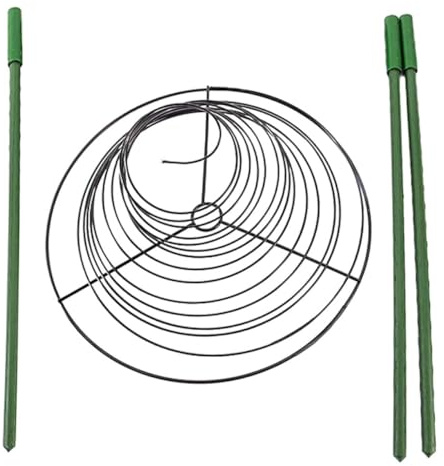 Toddmomy Treillis Spiralé pour Plantes Grimpantes Extérieur Support Jardin pour Plantes Fleurs Terrasse et Pelouse