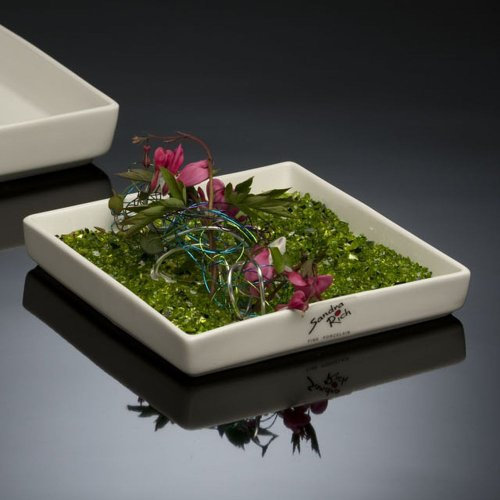 Sandra Rich - Fuente cuadrada de porcelana, 15 cm, color blanco