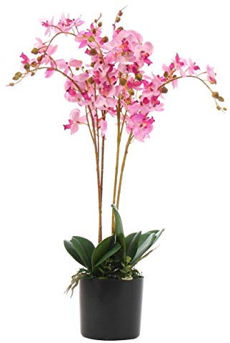 Leaf Design UK Realistic Artificial Orchid Flower Display in Pot, 60cm, Pink