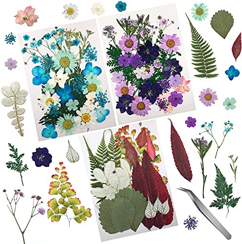 Cinco 90 pz veri fiori e foglie pressate secche petali naturali essiccati per candela resina gioielli sapone ciondolo per unghie caso di telefono artigianato (blu, viola, rosa, verde)