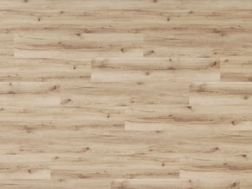 HPFloor SPC Vinylboden 12er Landhausdiele |122 x 18 cm | Klick-Verbindung, inkl. Trittschalldämmung, Feuchtraum geeignet, Weichmacherfrei |Integrierte Dämmung | 4,5mm (Rigid Water20Plus)