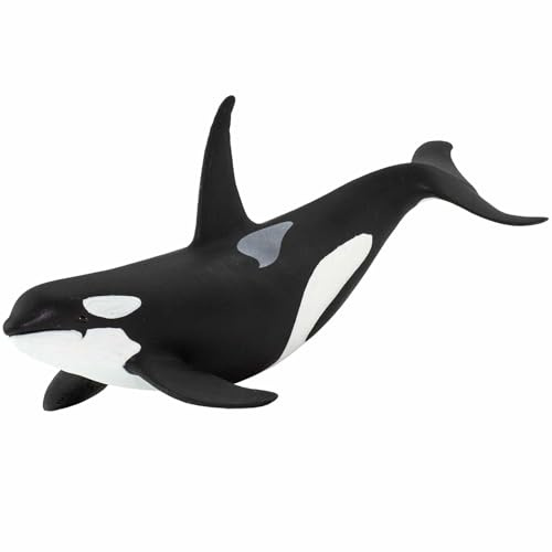 Safari Ltd. Orca 15.2cm | Figur eines Meerestiers | Ungiftig und BPA-frei | Geeignet für Kinder ab 3 Jahren