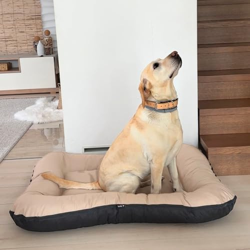 4L Textil KLEO Hundebett mittelgrosse Hunde waschbar Hundekissen mittelgrosse Hunde Hundematte Hundematratze Hundekissen abwaschbar (S-80x60 cm, Beige(Mit Reißverschluss))
