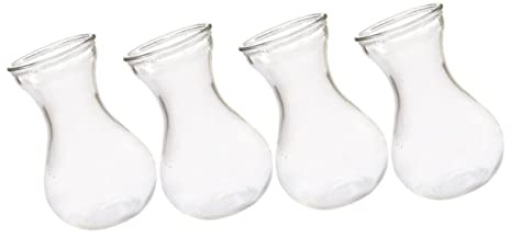 Hyacinth Bulb Glass Vase Elegant Bud Vase for Centerpieces for Decor