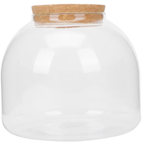 FUTUREORYY Glasflasche Mit Deckel Terrarium Für Pflanzen Mikrolandschaftsflasche Ökologische Glasflasche Einfache Flasche Für Blumen Moos Und DIY Dekoration Indoor Outdoor