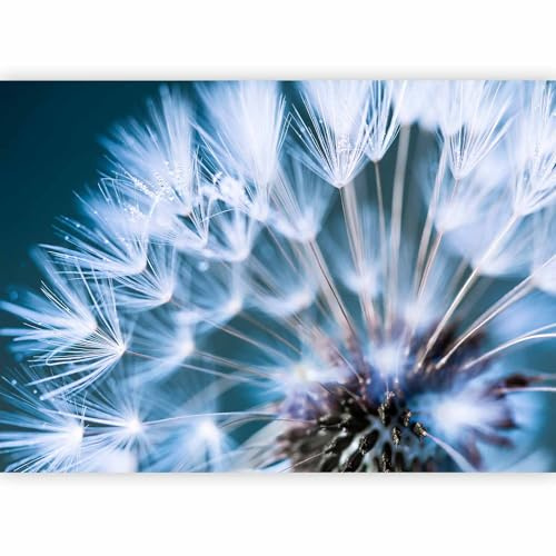 murando Fotomurales 250x175 cm XXL Papel pintado tejido no tejido Decoración de Pared decorativos Murales moderna de Diseno Fotográfico Flores Diente De Leon b-B-0087-a-b