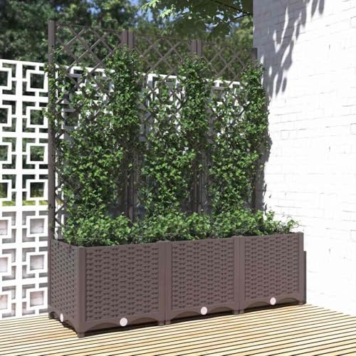 ACAGALA Fioriera con traliccio, aiuola angolare da giardino con traliccio, aiuola in polyrattan con foro di drenaggio, fioriera per piante rampicanti e piante in vaso, 120 x 40 x 136 cm, marrone