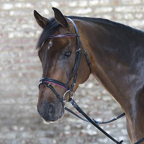 STAR Trensenzaum Diamond ENGL.Komb.