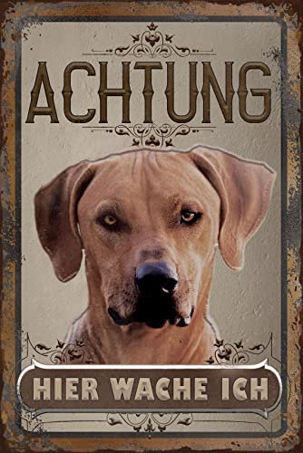 Señal de advertencia – Advertencia – Hier wache ich! – Cartel de aluminio Dibond – Resistente a la intemperie – 30 x 20 cm precaución, advertencia de perro, Rhodesian Ridgeback