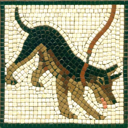 Créez une Œuvre d'Art avec Notre Kit mosaique loisir creatif adulte, Carré de 15cm Chien