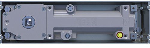 DORMA BTS 75V EN 1-4 - Chiudiporta a pavimento automatico con libellula