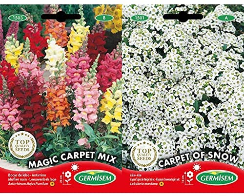 Germisem Magic Carpet Mix Graines de Snapdragon 0.8 g+Graines Alysse Tapis de Neige blanc