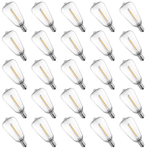 25 Pack Edison E12/C7 Low Wattage Outdoor Light Bulbs - 1W, 2700K, Shatterproof, ST38 Edison LED Bulbs