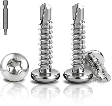PDKKFF 120 Pièces Torx Vis Autoforeuse Metal, M3.9x19mm Vis Autoperforante à Tôle Autotaraudeses Inox 410 Torx Tête Bombée Ronde DIN 7504 pour Aluminium Plastique Bois Tôle, Avec 1 TX15