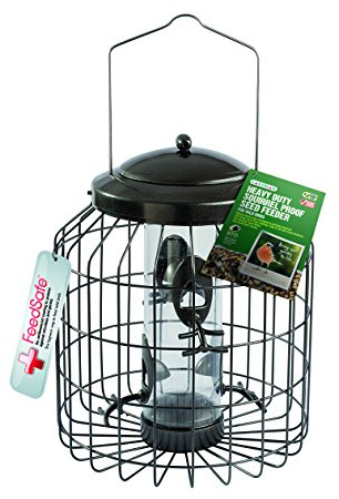 Gardman A01820 Heavy Duty Ekorrsäker foderkolonn för frön