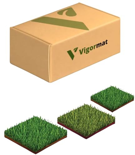 Vigormat Prato Giardino Erba Sintetica Europea (Kit Campioni)