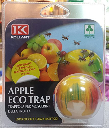 VERDE VIVO Apple Eco Trap, una trappola per moscerini della