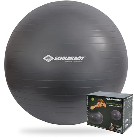 Schildkröt Pelota de Gimnasia para Adultos, 85 cm, Plateada