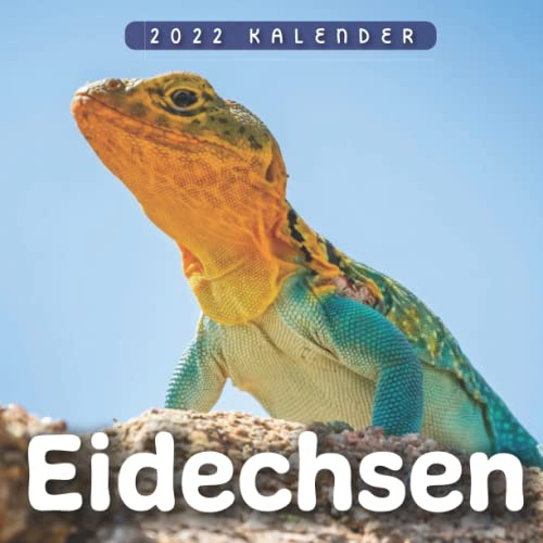 Eidechsen Kalender 2022: 12-Monats-Kalender von Jan 2022 bis Dez 2022. Platz für Notizen. Es ist ein perfektes Geschenk für einen geliebten Menschen