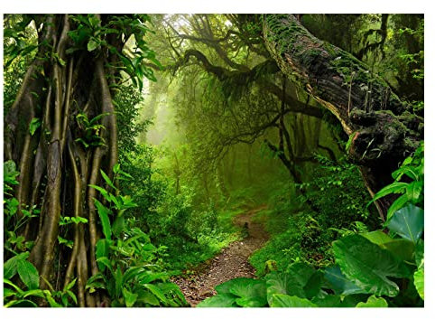 WallArena - Vlies Fototapete Wald Bäume Dschungel Pflanzen Regenwald 312x219 cm - Fototapeten - Tapeten - für Wohnzimmer Schlafzimmer - Vliestapete Wandtapete Tapete 3D Effekt- inkl. Kleister