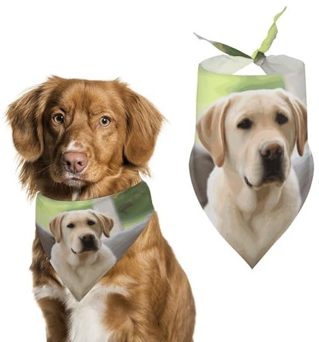 Hundehalstücher mit niedlichem Labrador-Motiv, bedrucktes Hundehalstuch, Hunde-Lätzchen, waschbar, Polyester, Taschentuch, Dreieckstuch für kleine, mittelgroße und große Hunde