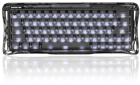 GravaStar Mercury V60 Clavier Gaming magnétique, 8000 Hz Polling Rate, Rapid Trigger Switches Hall Effect, Précision 0,005 mm, Hot-Swap, RGB - Onyx Crystal